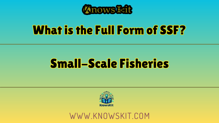 What is the Full Form of SSF